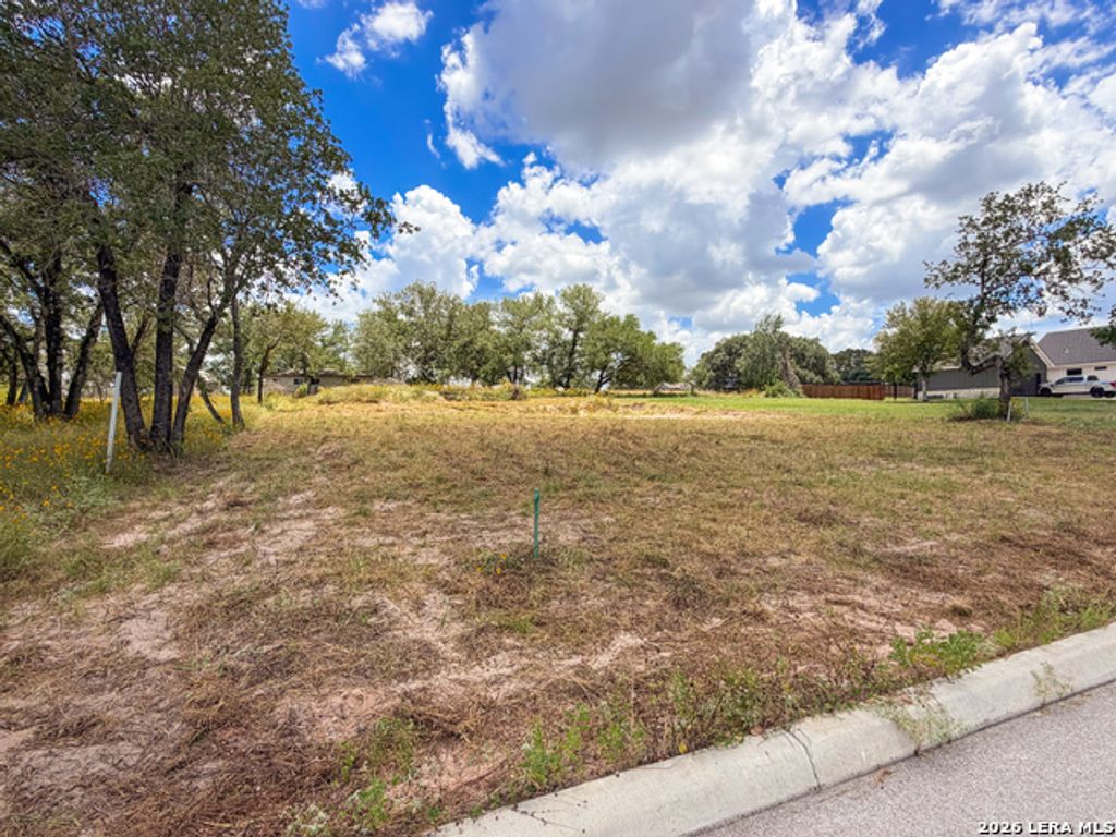 165 Ash Parkway, La Vernia