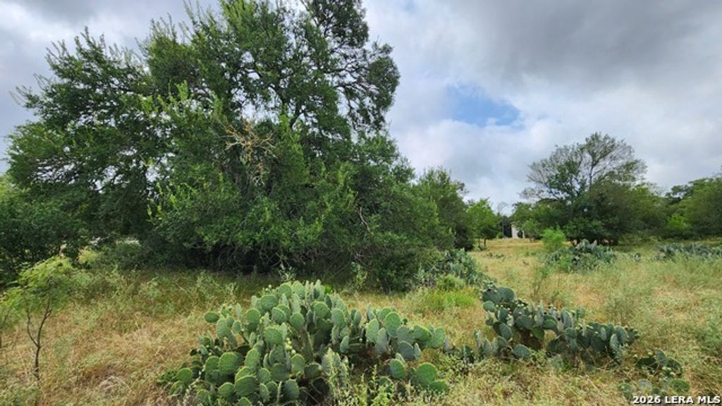 13505 Frenchmans Cv, San Antonio