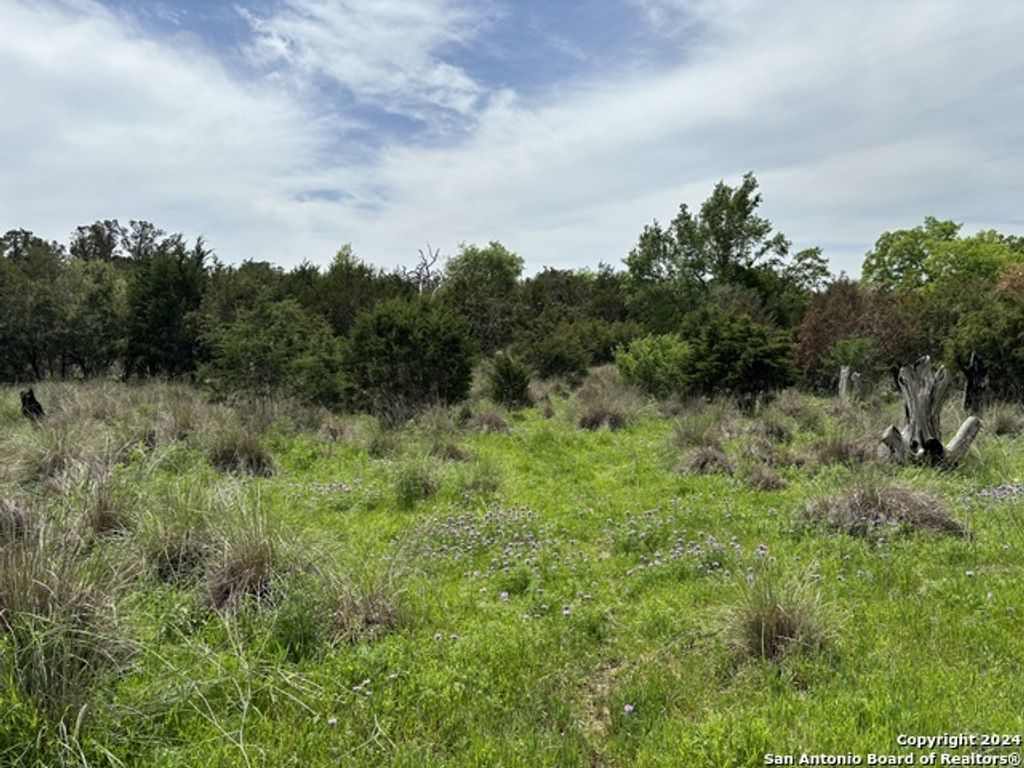4.31 Acres Walnut Grove Rd, Boerne