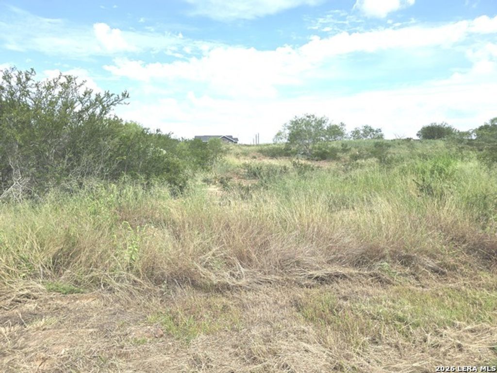 115 County Road 2666, Devine
