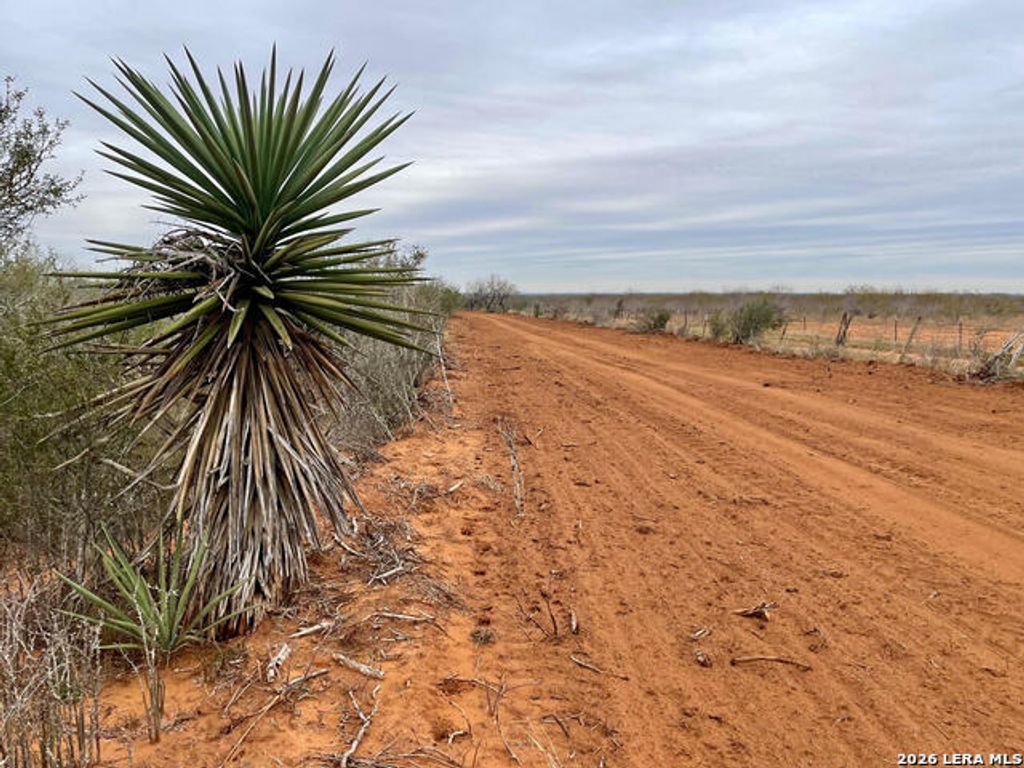 10.01 Acres Cr 2701 And Fm 140, Bigfoot