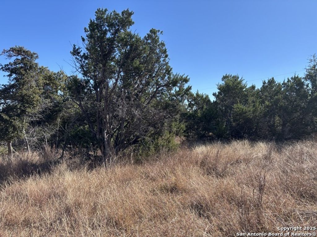 Lot 85 & 86 Headwaters Ranch Road, Kendalia