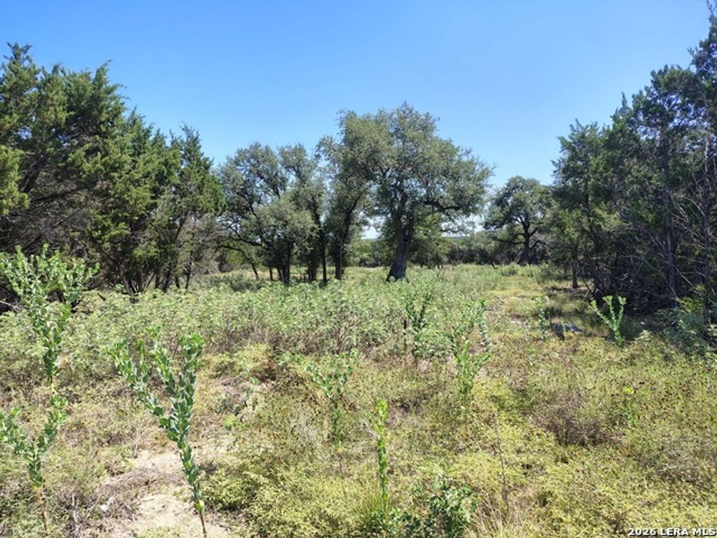 32 Sotol Ln, Boerne