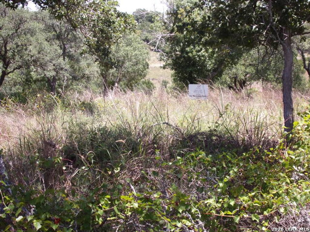 Tbd E Twisted Oak Trail, Blanco