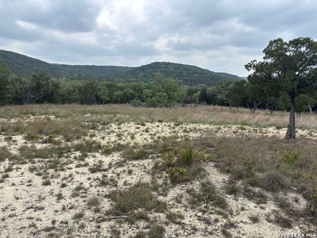 595 Canyon Frst, Helotes