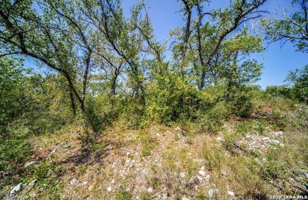 10026 Ivory Cyn, San Antonio