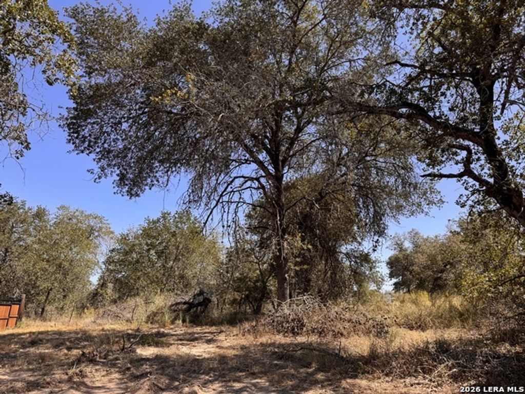 157 Ash Pkwy, La Vernia