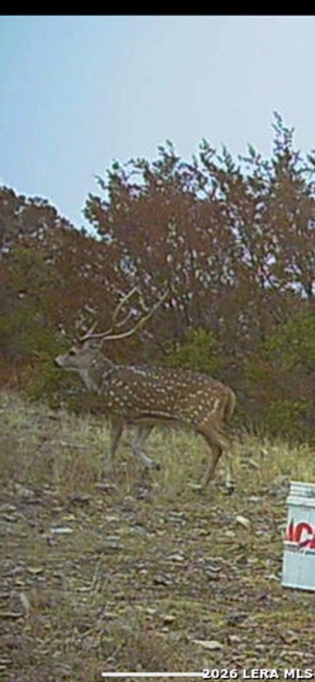 Tbd Sd 45455, Rocksprings