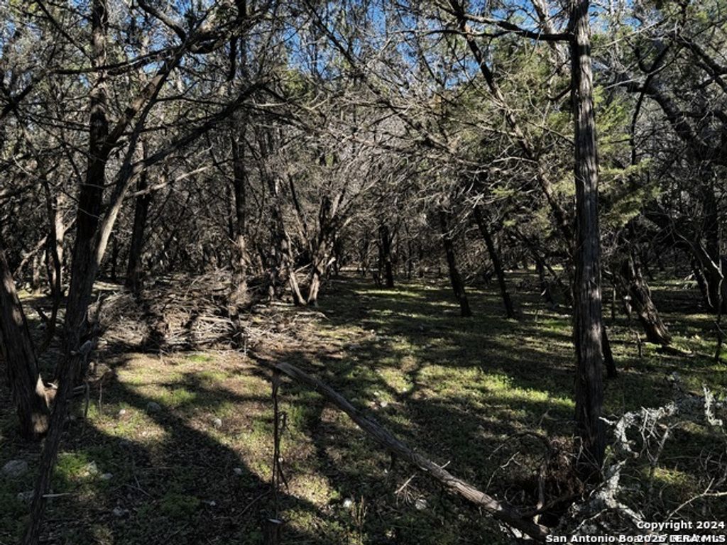 5111 Fm 1863, Bulverde