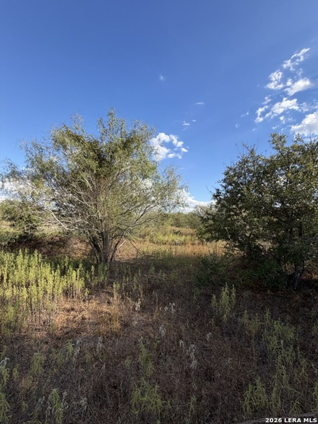 Tract #4 Elm Creek Rd, Seguin