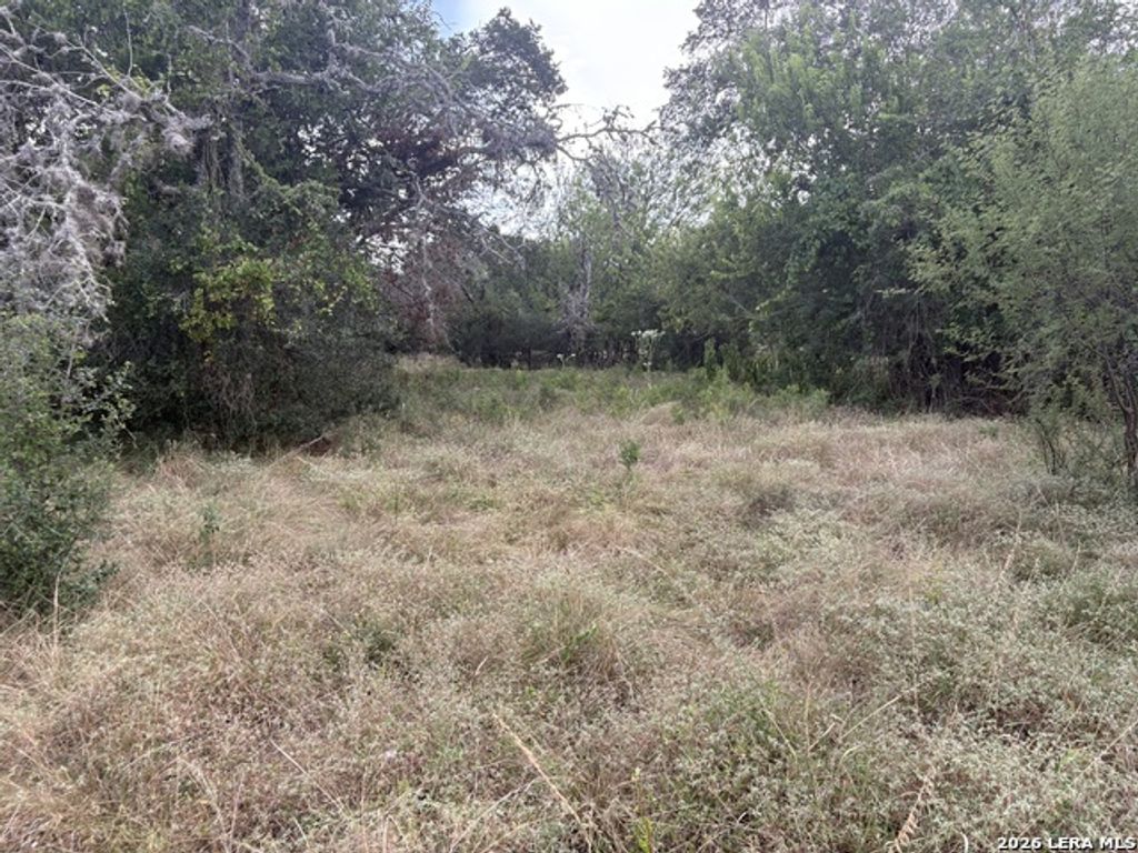 Lot 4 San Julian Estates-hwy 173 S, Bandera