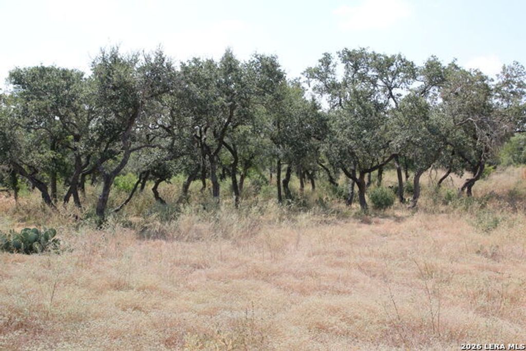 Tbd Stone Loop, Castroville