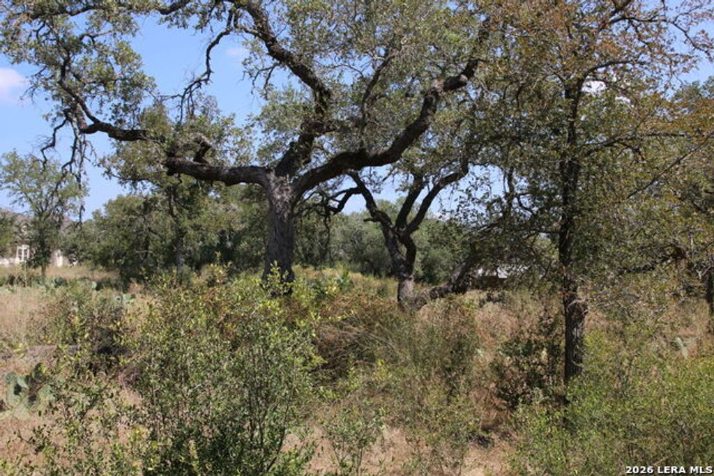 Tbd Stone Loop, Castroville