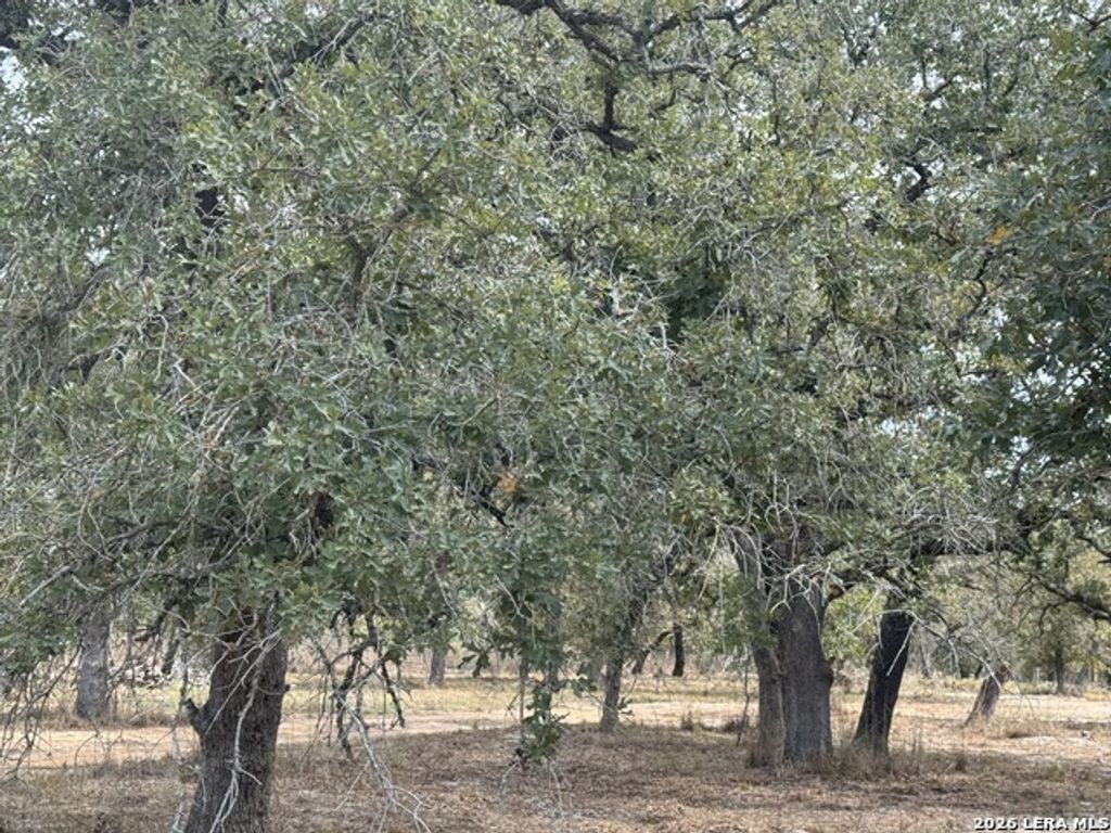 190 Deer Park Rd., La Vernia