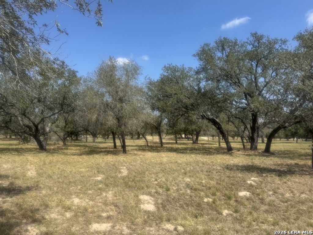 1600 County Road 770, Natalia