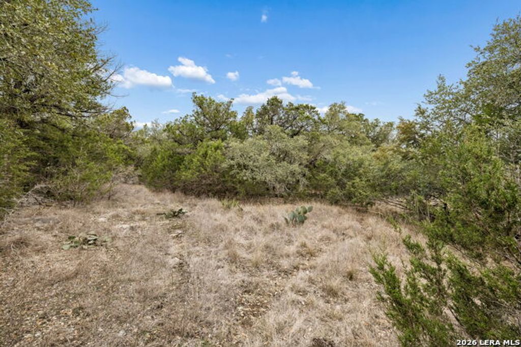 Tbd Lazy Forest, New Braunfels