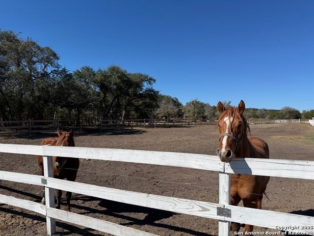 1841 Oak Meadows, Canyon Lake