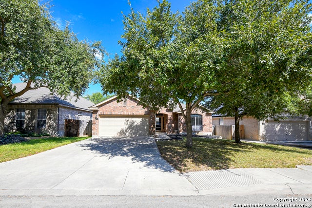 11615 Huisache Daisy, San Antonio