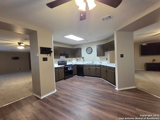 6402 Beech Trail, Converse
