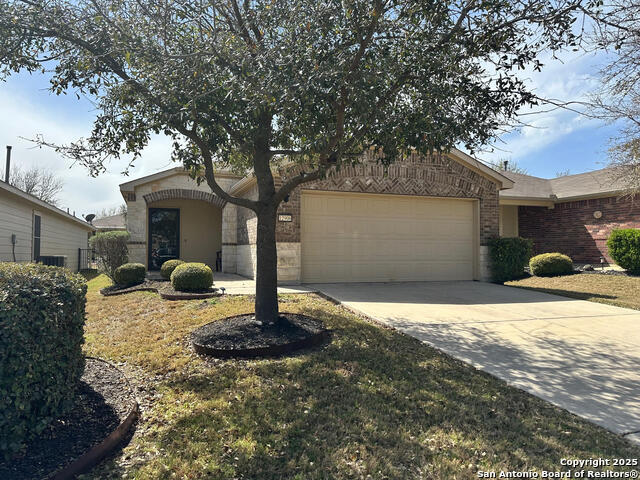 12906 Cedar Fly, San Antonio