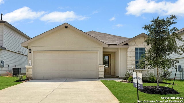 220 Squacco Heron, San Antonio