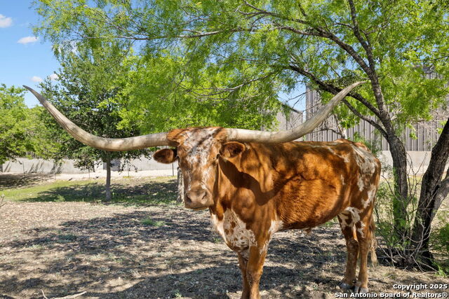 148 Lakecreek, New Braunfels