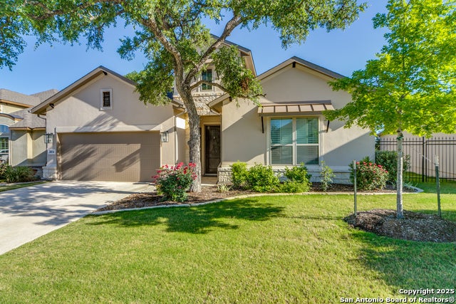 28834 Bluebottle, San Antonio