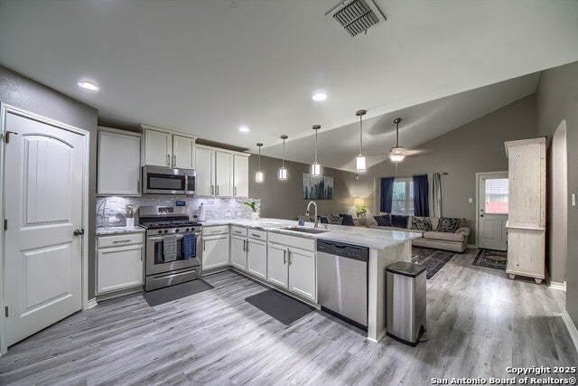 13408 Drop Seed, San Antonio