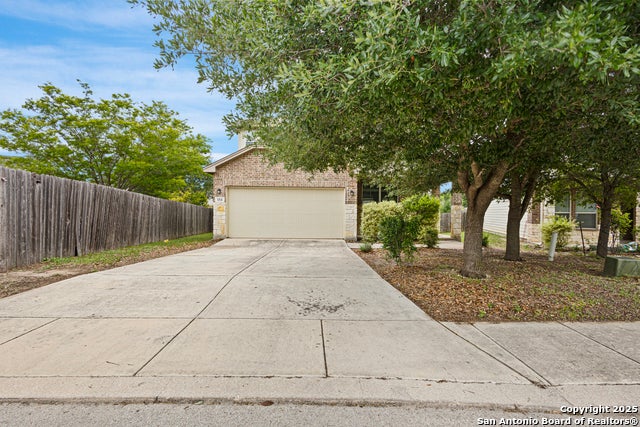 154 Grosbeak, San Antonio