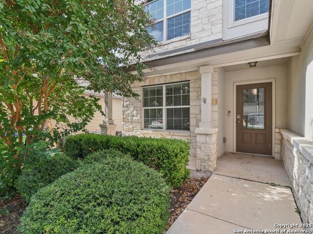 15530 Gray Catbird, San Antonio