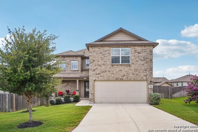 915 Red Merganser, San Antonio