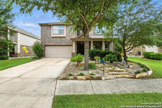 3116 Pencil Cholla, Schertz