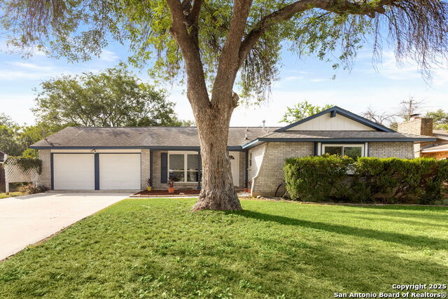 7206 Sulky, San Antonio