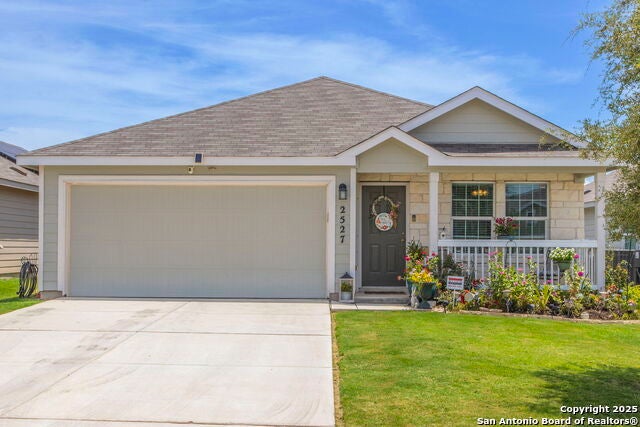 2527 Pechora Pipit, New Braunfels