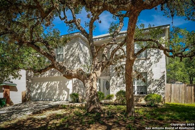 1127 Cougar Country, San Antonio