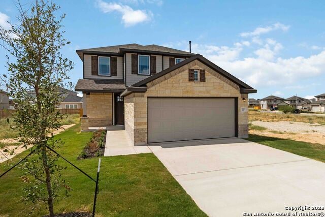 16511 Sweet Cicely, Elmendorf
