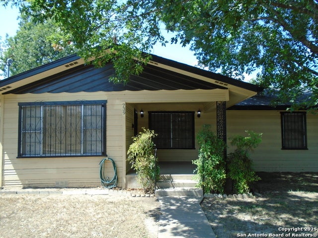 739 Theo, San Antonio