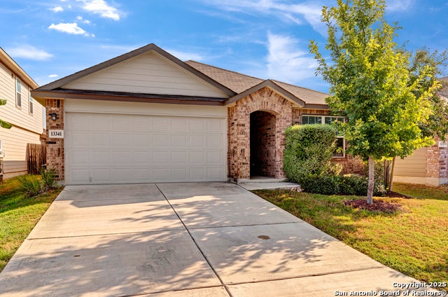 13341 Bearded, San Antonio