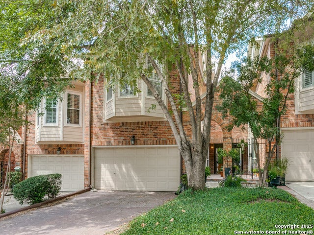 147 Elizabeth Rd, Alamo Heights