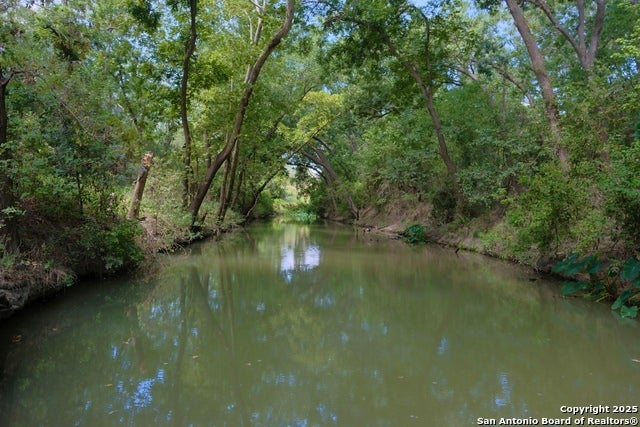 17585 Fargoer, Marion