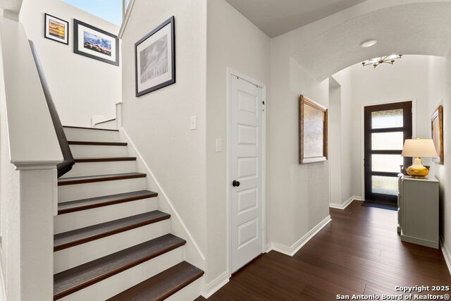 947 Blue Violet, New Braunfels