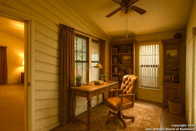 2002 Encino Belle, San Antonio