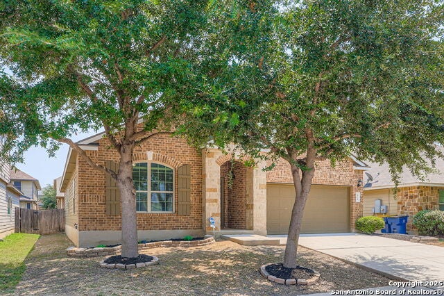 424 Cactus Flower, Cibolo