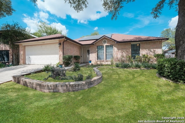 7703 Forest Fern, Live Oak