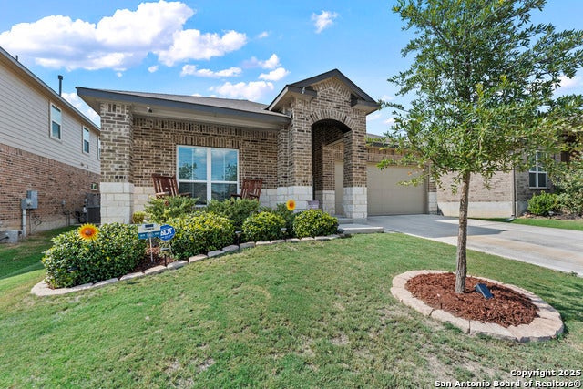 9407 Bracted Sedge, San Antonio