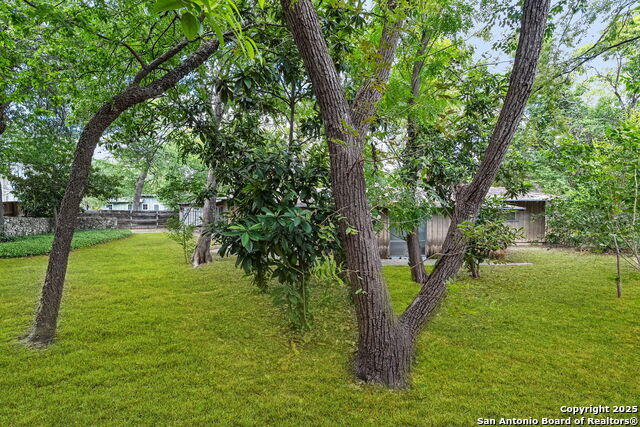 530 Corona, Alamo Heights