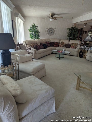 359 Kate Schenck, San Antonio