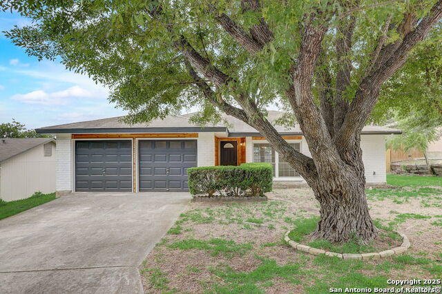 10514 Bounty, San Antonio