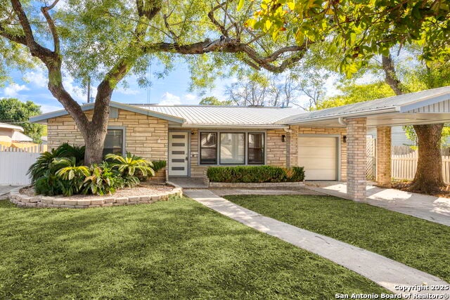 334 Addax, San Antonio