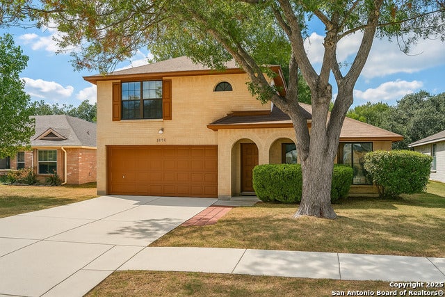 11311 Forest Shower, Live Oak